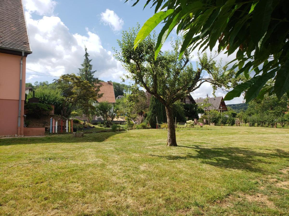 Le Souplex D'Anais Schirmeck Exterior foto