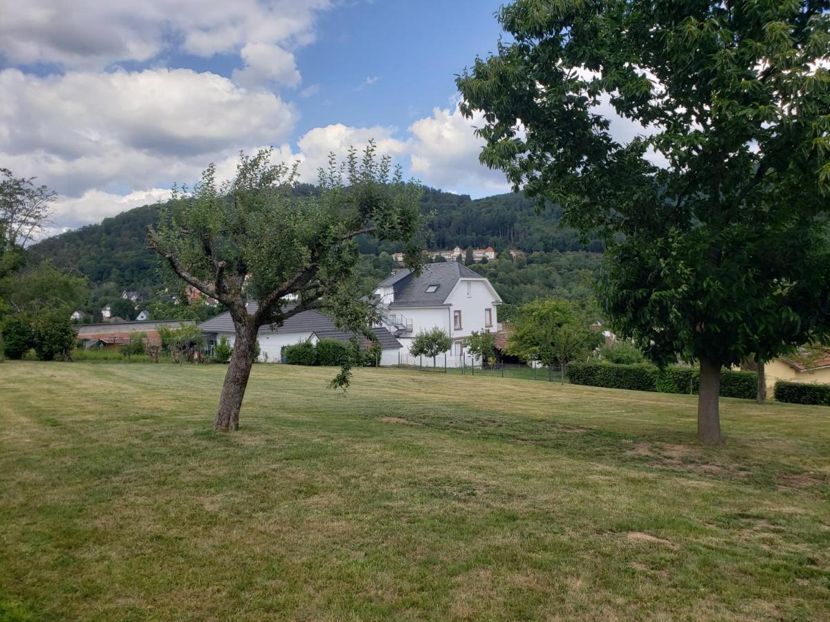 Le Souplex D'Anais Schirmeck Exterior foto