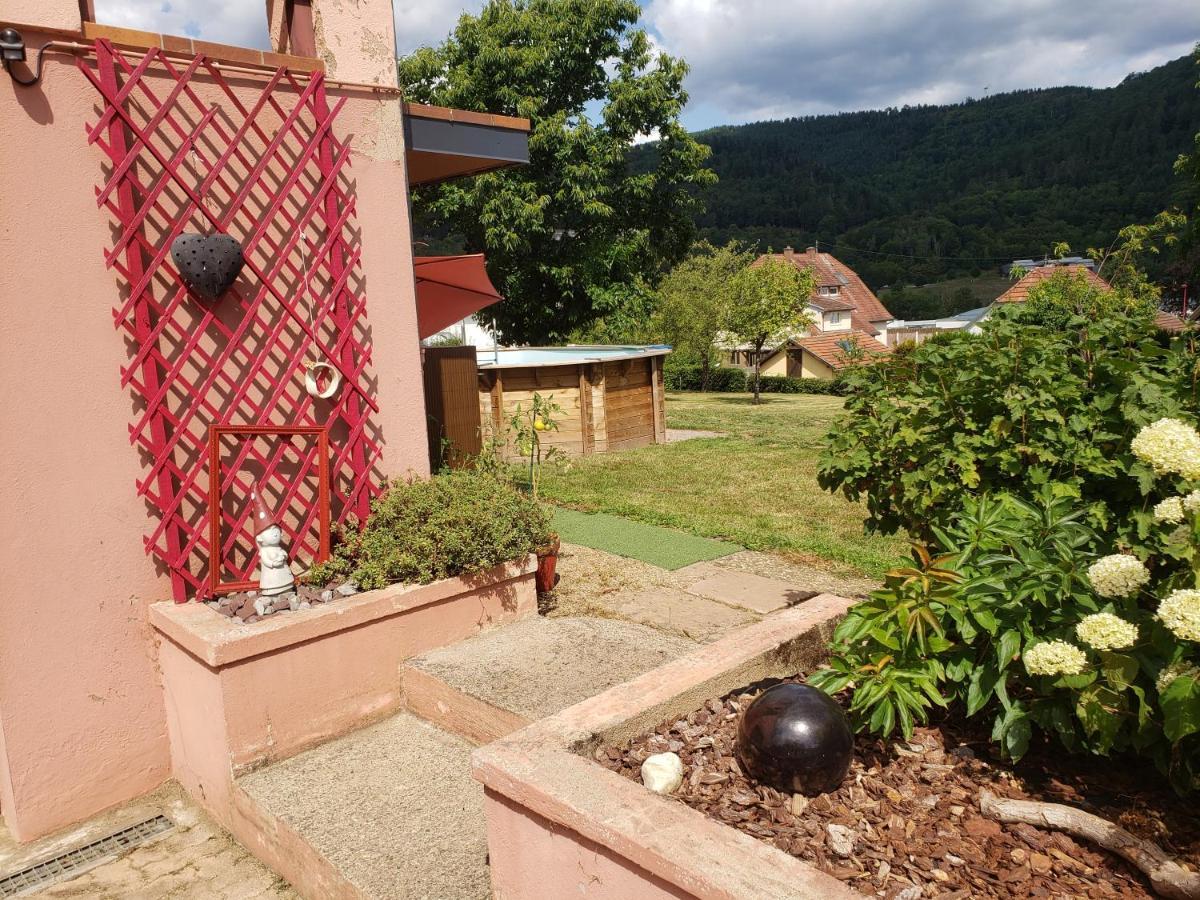 Le Souplex D'Anais Schirmeck Exterior foto